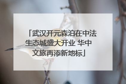 武汉开元森泊在中法生态城盛大开业 华中文旅再添新地标