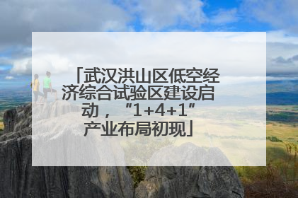武汉洪山区低空经济综合试验区建设启动，“1+4+1”产业布局初现