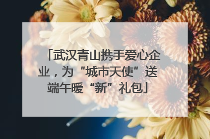 武汉青山携手爱心企业，为“城市天使”送端午暖“新”礼包