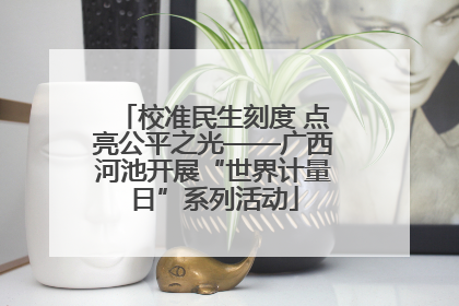 校准民生刻度 点亮公平之光——广西河池开展“世界计量日”系列活动