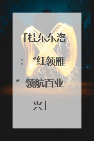 桂东东洛：“红领雁”领航百业兴