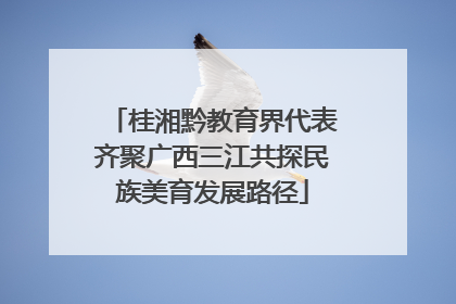 桂湘黔教育界代表齐聚广西三江共探民族美育发展路径