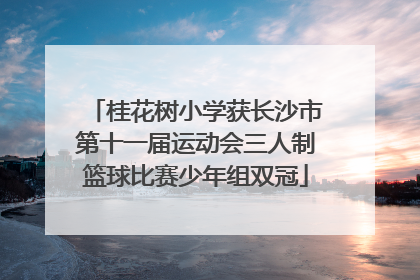 桂花树小学获长沙市第十一届运动会三人制篮球比赛少年组双冠