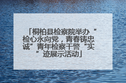 桐柏县检察院举办“检心永向党，青春铸忠诚”青年检察干警“实”迹展示活动