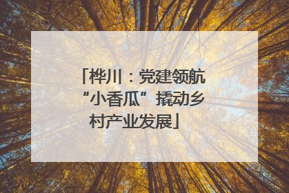 桦川：党建领航“小香瓜”撬动乡村产业发展