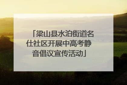 梁山县水泊街道名仕社区开展中高考静音倡议宣传活动