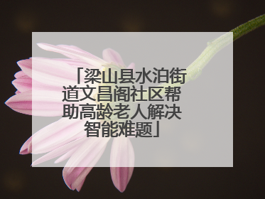 梁山县水泊街道文昌阁社区帮助高龄老人解决智能难题