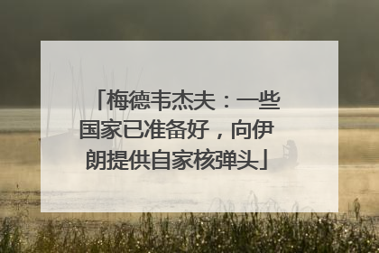 梅德韦杰夫：一些国家已准备好，向伊朗提供自家核弹头