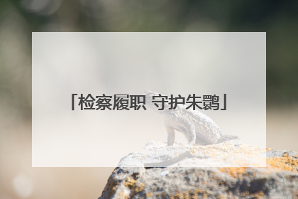 检察履职 守护朱鹮