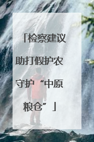 检察建议助打假护农守护“中原粮仓”