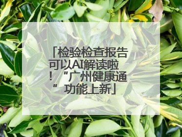 检验检查报告可以AI解读啦！“广州健康通”功能上新