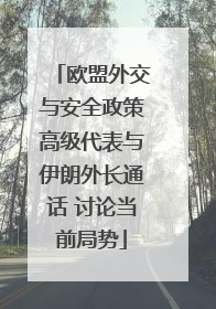 欧盟外交与安全政策高级代表与伊朗外长通话 讨论当前局势