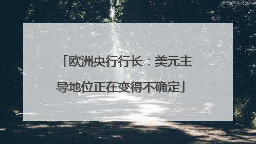 欧洲央行行长：美元主导地位正在变得不确定