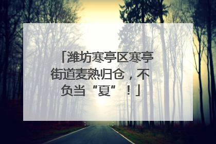潍坊寒亭区寒亭街道麦熟归仓，不负当“夏”！