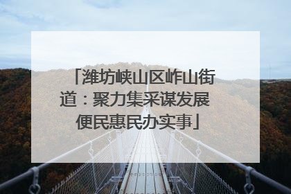 潍坊峡山区岞山街道：聚力集采谋发展 便民惠民办实事
