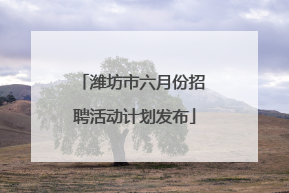 潍坊市六月份招聘活动计划发布