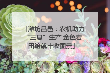潍坊昌邑：农机助力“三夏”生产 金色麦田绘就丰收图景