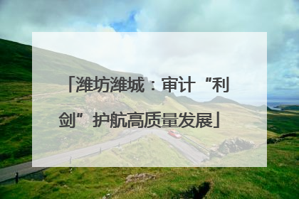 潍坊潍城：审计“利剑”护航高质量发展