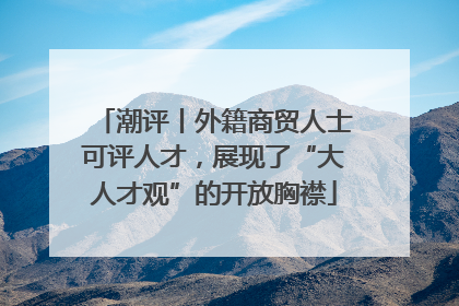 潮评丨外籍商贸人士可评人才，展现了“大人才观”的开放胸襟