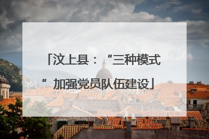 汶上县：“三种模式”加强党员队伍建设