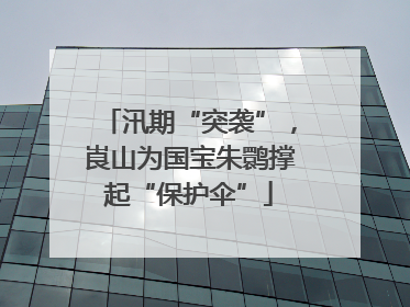 汛期“突袭”，崀山为国宝朱鹮撑起“保护伞”