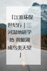 江淮环保世纪行｜三河湿地研学热 黄陂湖成鸟类天堂