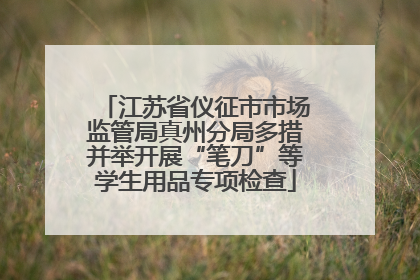 江苏省仪征市市场监管局真州分局多措并举开展“笔刀”等学生用品专项检查