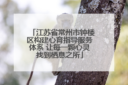 江苏省常州市钟楼区构建心育指导服务体系 让每一颗心灵找到栖息之所