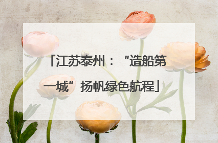 江苏泰州：“造船第一城”扬帆绿色航程