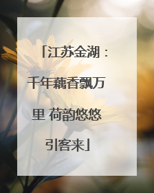 江苏金湖：千年藕香飘万里 荷韵悠悠引客来