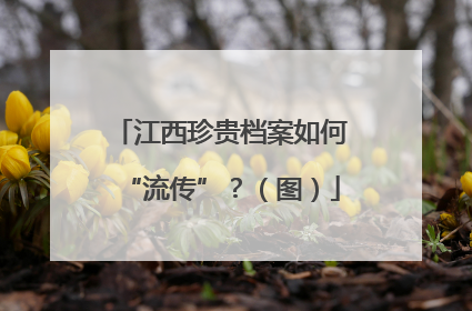 江西珍贵档案如何“流传”？（图）