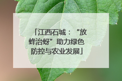 江西石城：“放蜂治蚜”助力绿色防控与农业发展