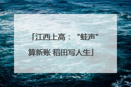 江西上高：“蛙声”算新账 稻田写人生