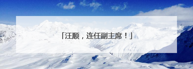 汪顺，连任副主席！