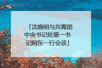 沈晓明与共青团中央书记处第一书记阿东一行会谈