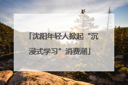 沈阳年轻人掀起“沉浸式学习”消费潮