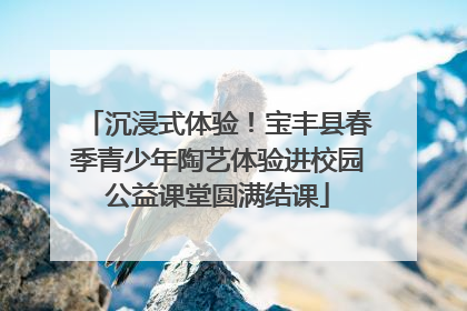 沉浸式体验！宝丰县春季青少年陶艺体验进校园公益课堂圆满结课