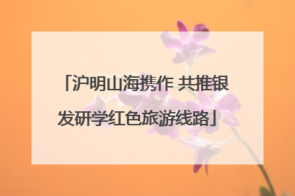 沪明山海携作 共推银发研学红色旅游线路