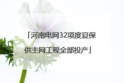 河南电网32项度夏保供主网工程全部投产