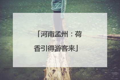 河南孟州：荷香引得游客来
