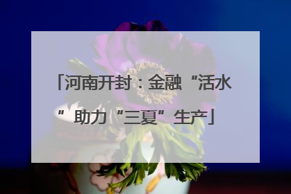 河南开封：金融“活水”助力“三夏”生产