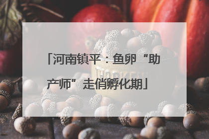 河南镇平：鱼卵“助产师”走俏孵化期