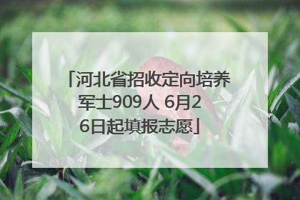 河北省招收定向培养军士909人 6月26日起填报志愿