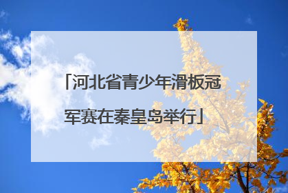 河北省青少年滑板冠军赛在秦皇岛举行