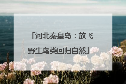 河北秦皇岛：放飞野生鸟类回归自然