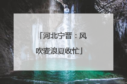 河北宁晋：风吹麦浪夏收忙