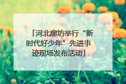河北廊坊举行“新时代好少年”先进事迹现场发布活动