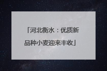 河北衡水：优质新品种小麦迎来丰收