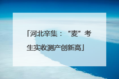 河北辛集：“麦”考生实收测产创新高