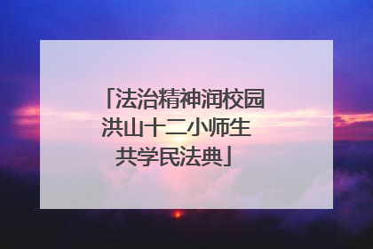 法治精神润校园 洪山十二小师生共学民法典